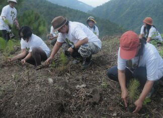 Grow Trees Community